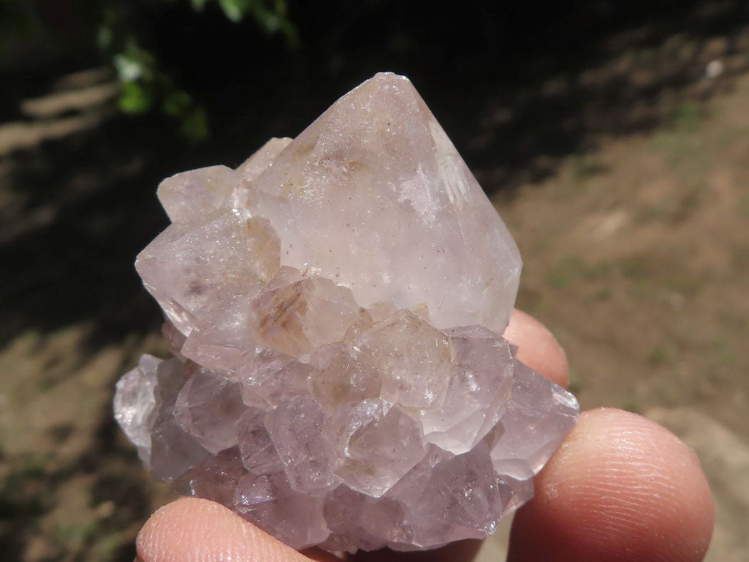 Natural Small Spirit Cactus Flower Quartz Specimens  x 60 From Southern Africa - TopRock