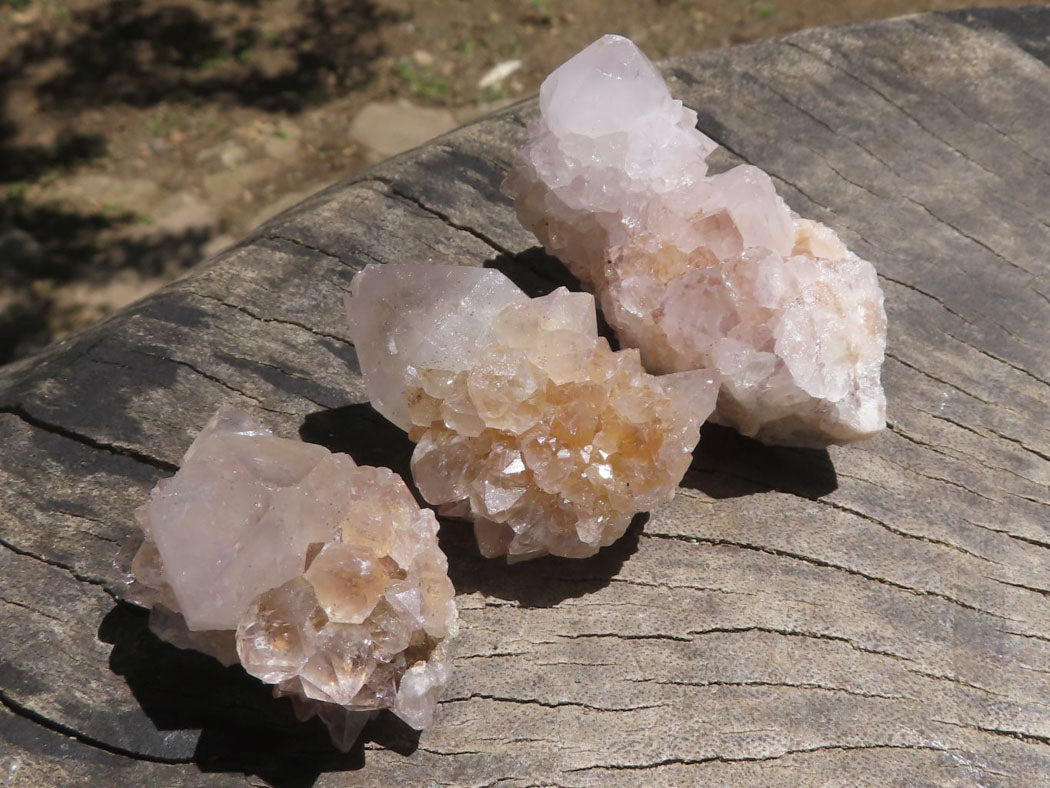 Natural Small Spirit Cactus Flower Quartz Specimens  x 60 From Southern Africa - TopRock