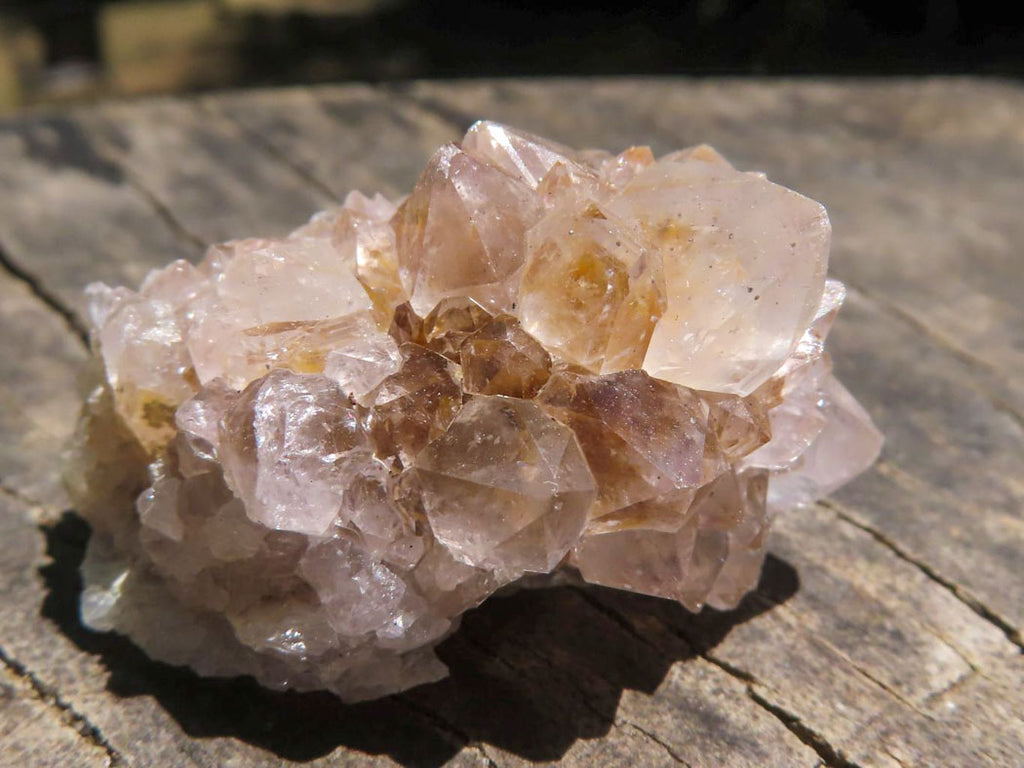 Natural Small Spirit Cactus Flower Quartz Specimens  x 60 From Southern Africa - TopRock