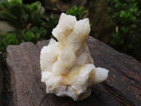 Natural Small Mixed Spirit Quartz Clusters  x 24 From Boekenhouthoek, South Africa - Toprock Gemstones and Minerals 