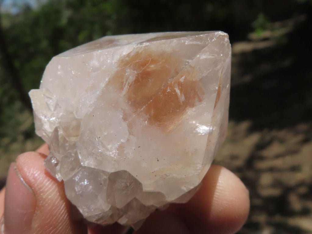 Natural Small Spirit Cactus Flower Quartz Specimens  x 60 From Southern Africa - TopRock