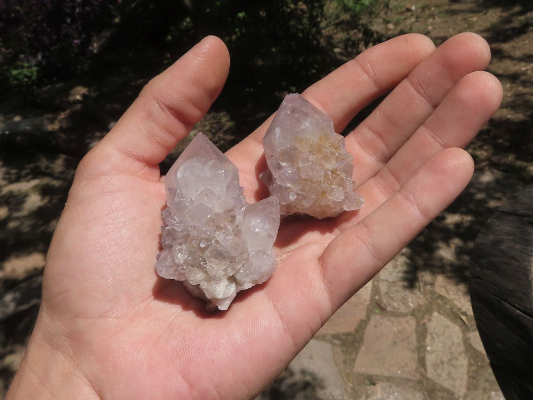 Natural Small Spirit Cactus Flower Quartz Specimens  x 60 From Southern Africa - TopRock