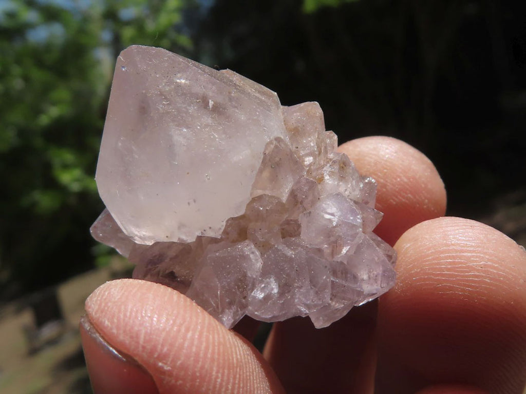 Natural Small Spirit Cactus Flower Quartz Specimens  x 60 From Southern Africa - TopRock