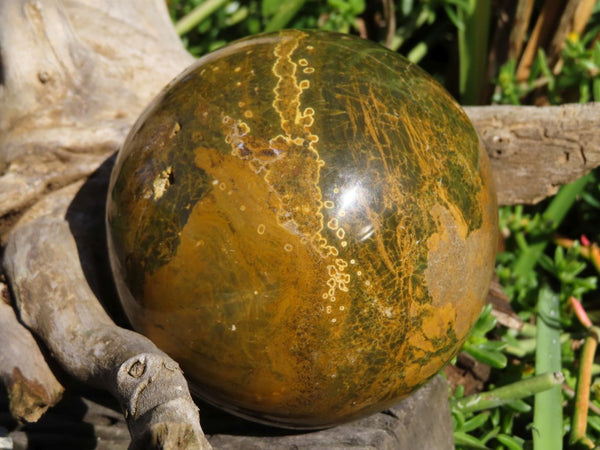 Polished Ocean Jasper Sphere With Nice Orbicular Patterns (Vugs) x 1 From Madagascar - TopRock