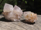 Natural Small Spirit Cactus Flower Quartz Specimens  x 60 From Southern Africa - TopRock