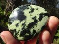 Polished Spotted Leopard Stone Gallets  x 6 From Zimbabwe - Toprock Gemstones and Minerals 