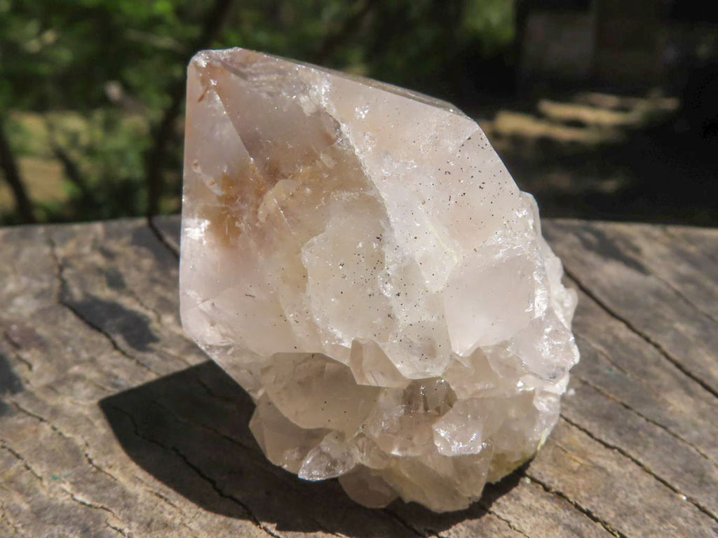 Natural Small Spirit Cactus Flower Quartz Specimens  x 60 From Southern Africa - TopRock