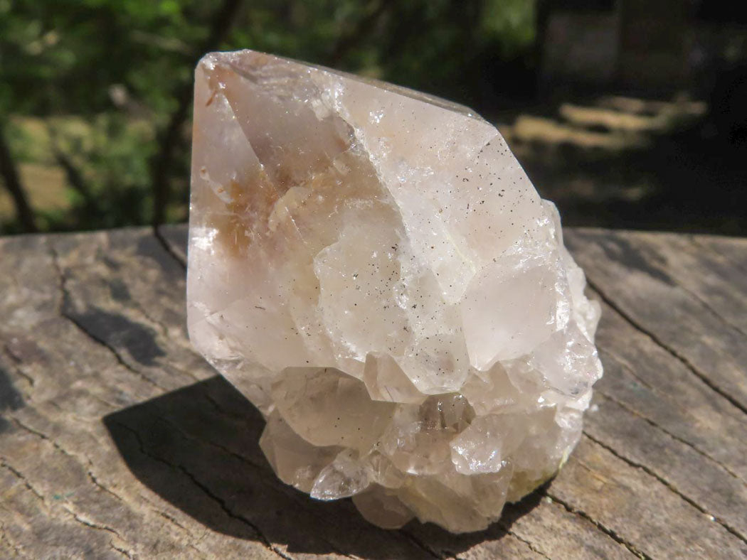 Natural Small Spirit Cactus Flower Quartz Specimens  x 60 From Southern Africa - TopRock