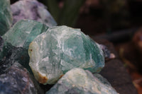 Natural Watermelon Fluorite Cobbed Specimens - Sold per 5kg - From Uis, Namibia - TopRock