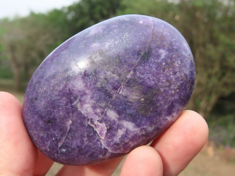 Polished Fairly Large Deep Purple Lepidolite Gallets x 6 From