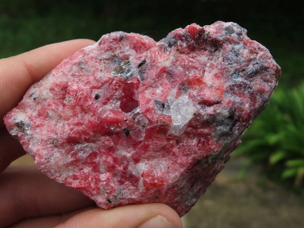 Natural Medium Sized Cobbed Rhodonite Pieces x 6 From Zimbabwe - TopRock