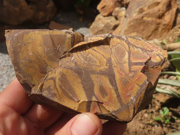 Natural Rough Nguni Jasper Specimens  x 14 From Northern Cape, South Africa - TopRock