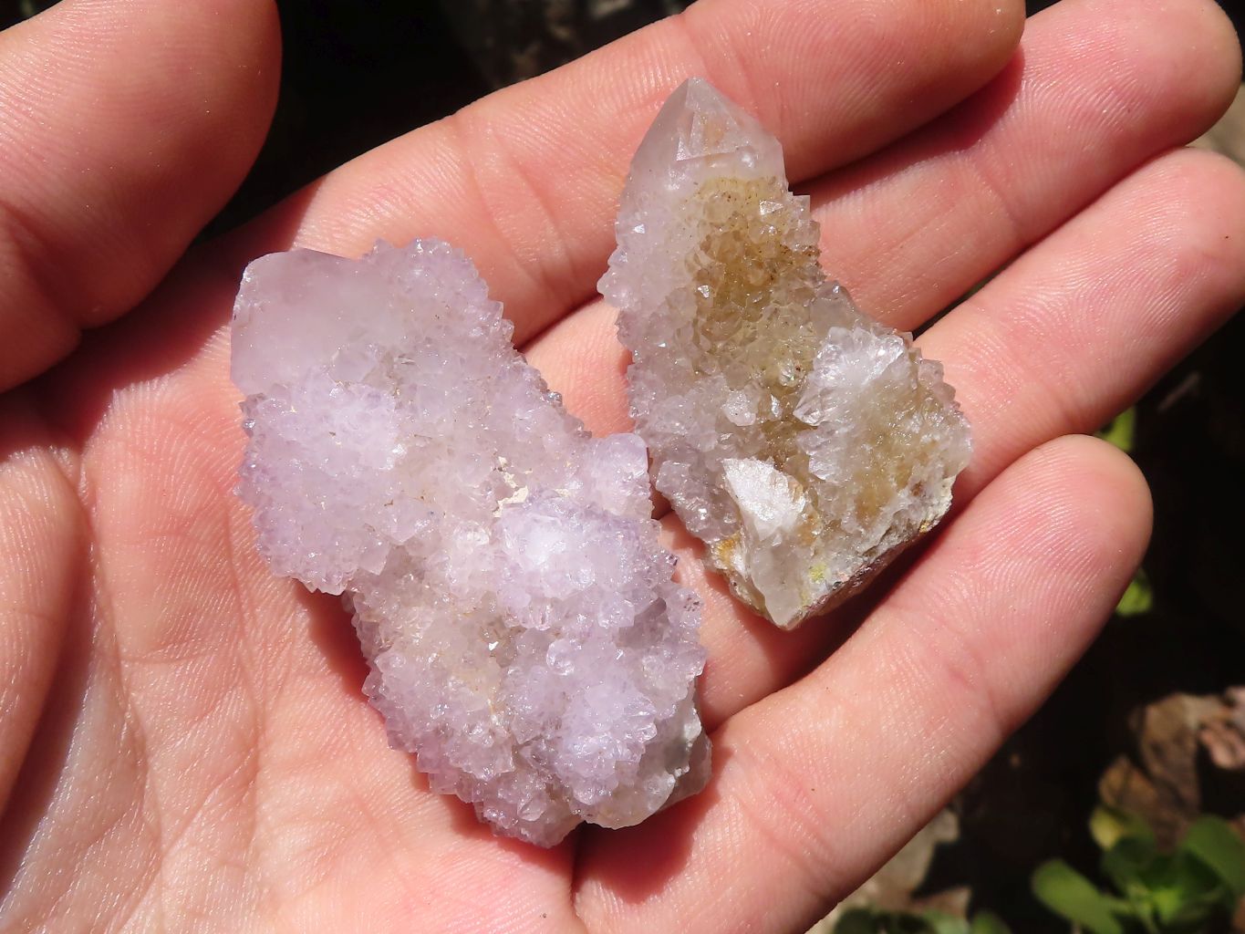 Natural Small Mixed Spirit Quartz Clusters  x 35 From Boekenhouthoek, South Africa - TopRock
