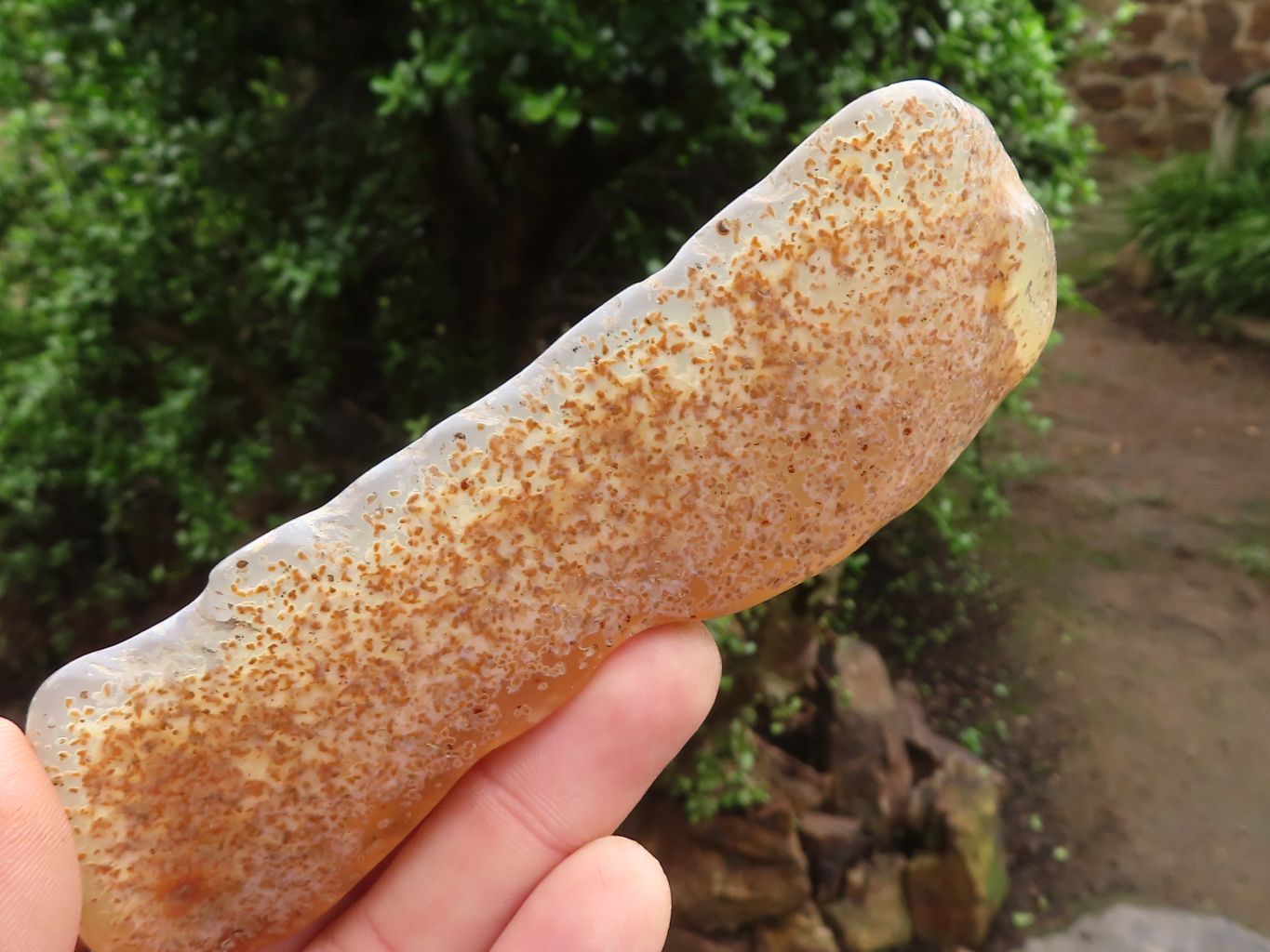 Polished Agate & Chalcedony Pieces  x 12 From Zimbabwe - Toprock Gemstones and Minerals 