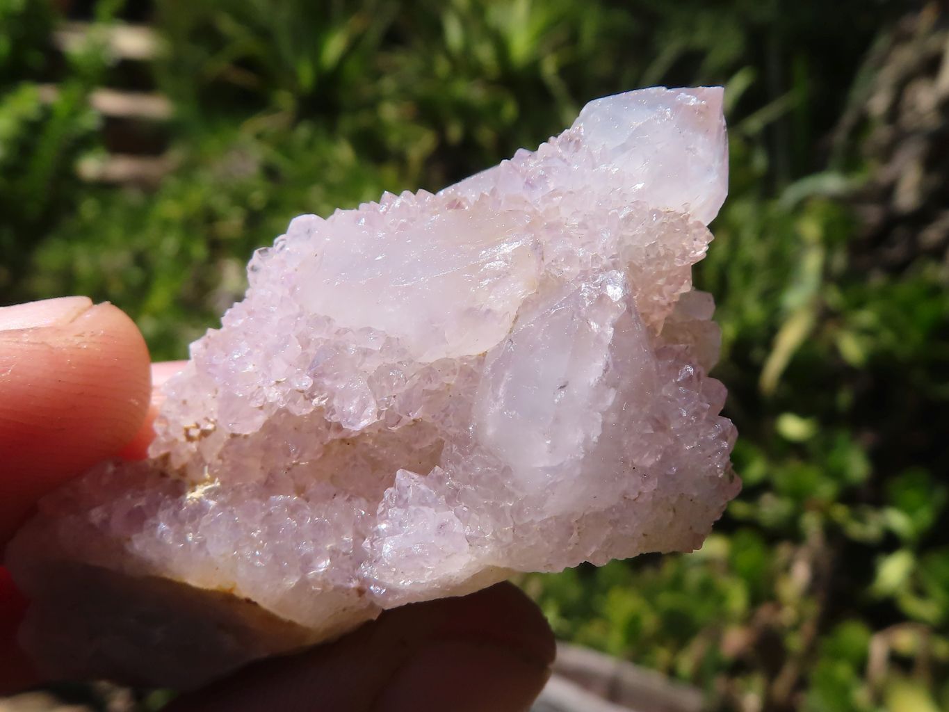 Natural Small Mixed Spirit Quartz Clusters  x 35 From Boekenhouthoek, South Africa - TopRock