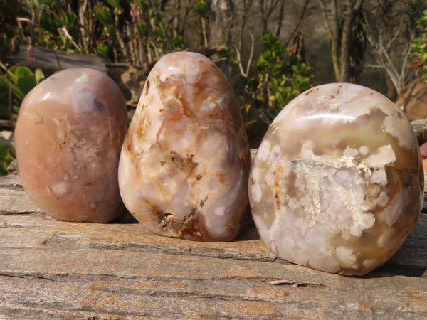 Polished Ocean Flower Agate Standing Free Forms  x 3 From Madagascar - Toprock Gemstones and Minerals 