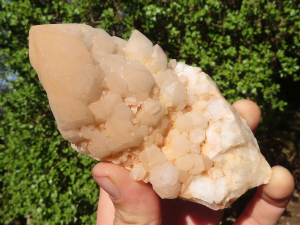 Natural Highly Selected Candle Quartz Crystals  x 6 From Madagascar - Toprock Gemstones and Minerals 