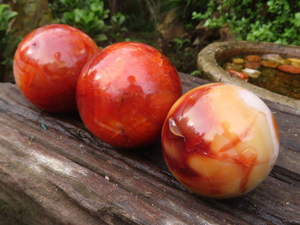 Polished Gorgeous Carnelian Agate Spheres  x 3 From Madagascar - Toprock Gemstones and Minerals 