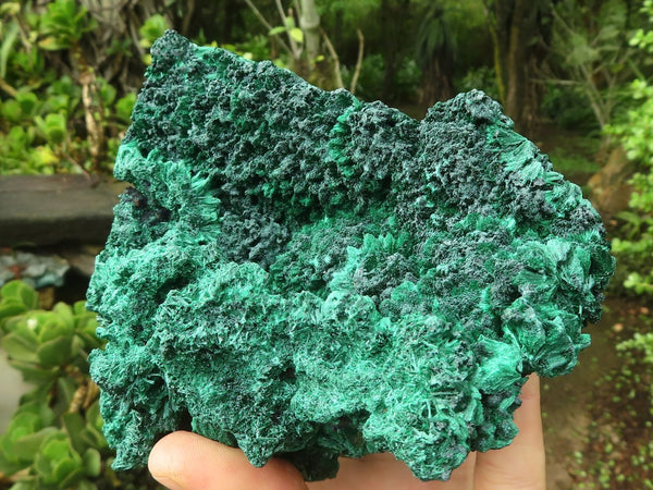 Natural Large Chatoyant Silky Malachite Specimen x 1 From Congo - Toprock Gemstones and Minerals 