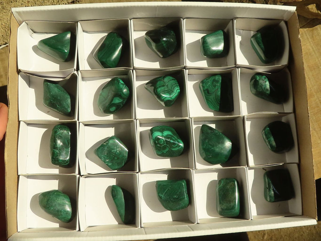 Polished  Small Flower Malachite Free Forms  x 20 From Congo - Toprock Gemstones and Minerals 