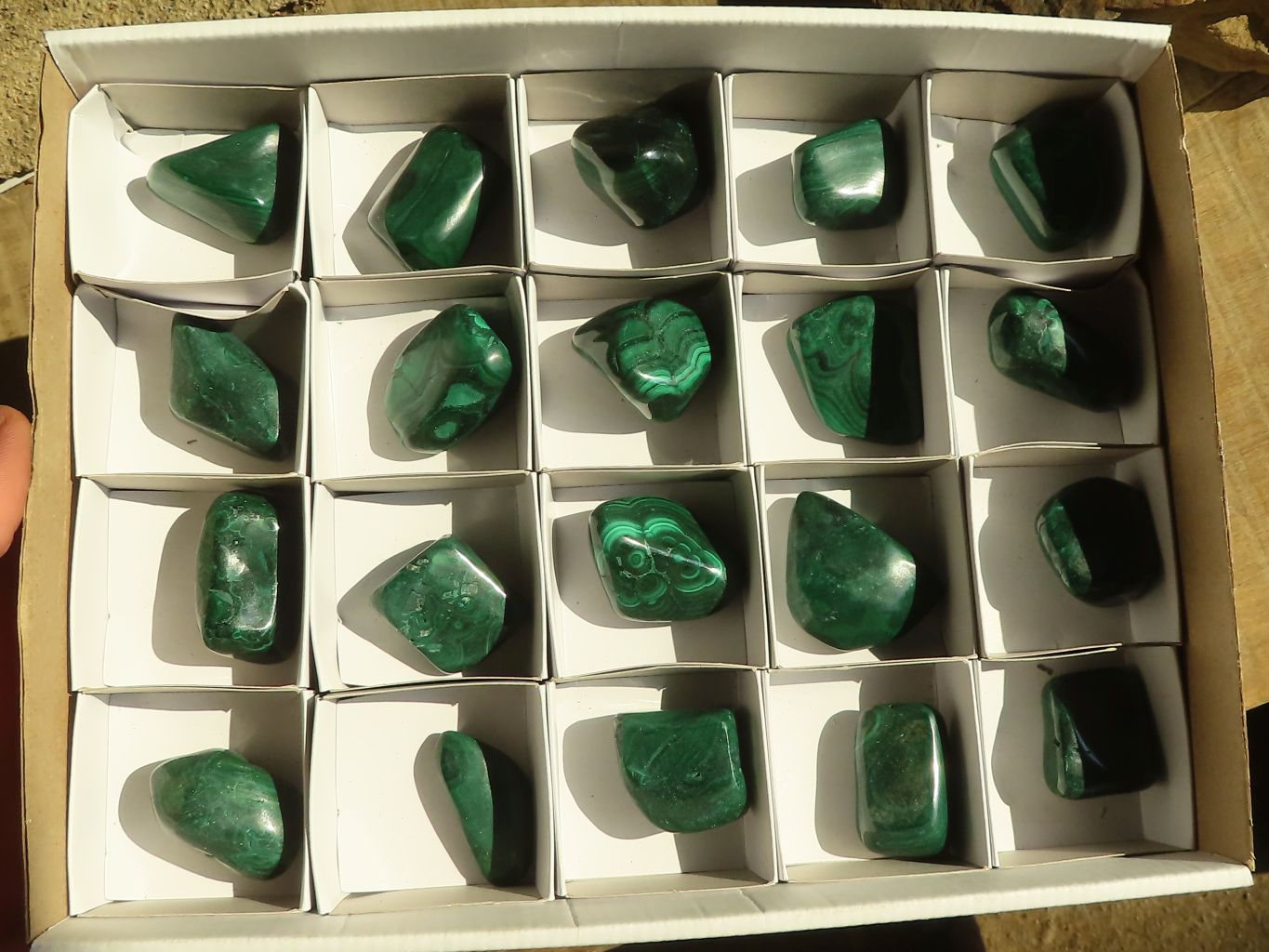 Polished  Small Flower Malachite Free Forms  x 20 From Congo - Toprock Gemstones and Minerals 