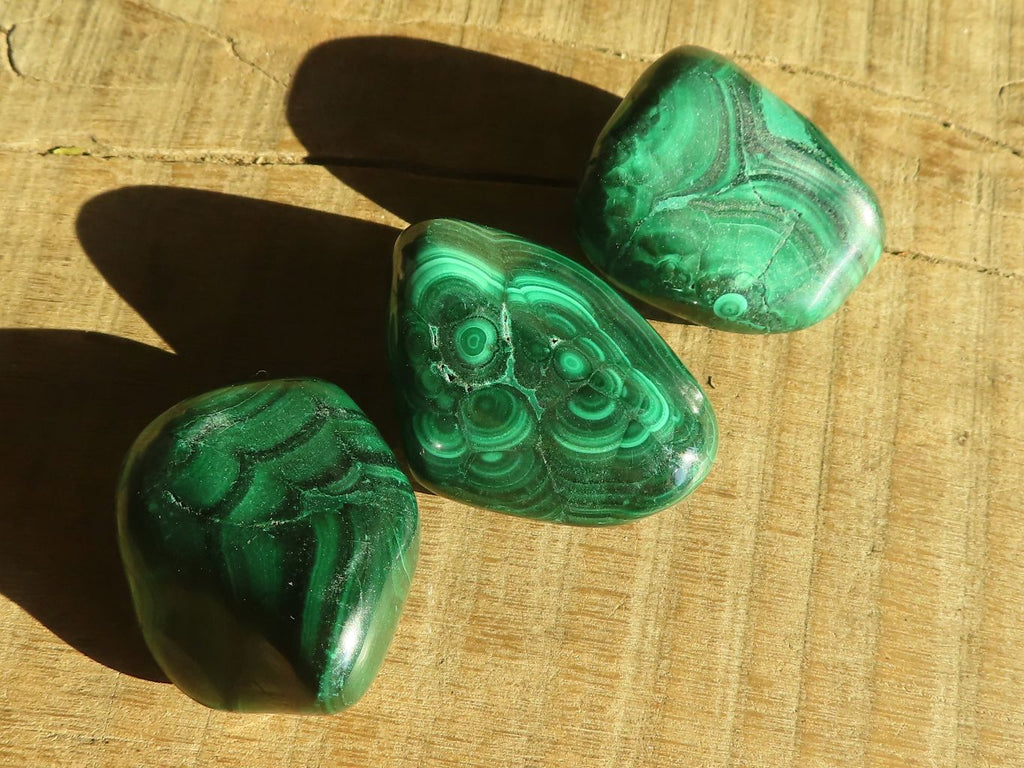 Polished  Small Flower Malachite Free Forms  x 20 From Congo - Toprock Gemstones and Minerals 