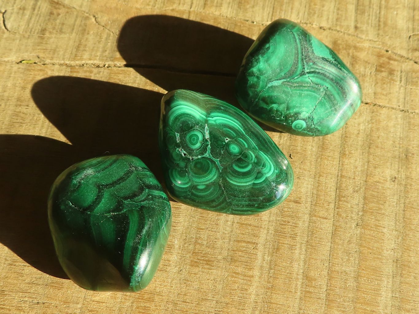 Polished  Small Flower Malachite Free Forms  x 20 From Congo - Toprock Gemstones and Minerals 