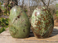 Polished Chrysoprase Standing Free Forms  x 2 From Madagascar - Toprock Gemstones and Minerals 