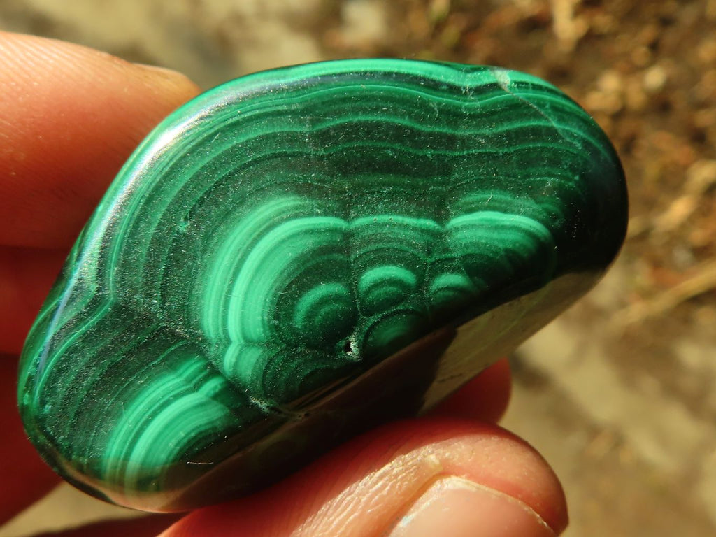 Polished  Small Flower Malachite Free Forms  x 20 From Congo - Toprock Gemstones and Minerals 