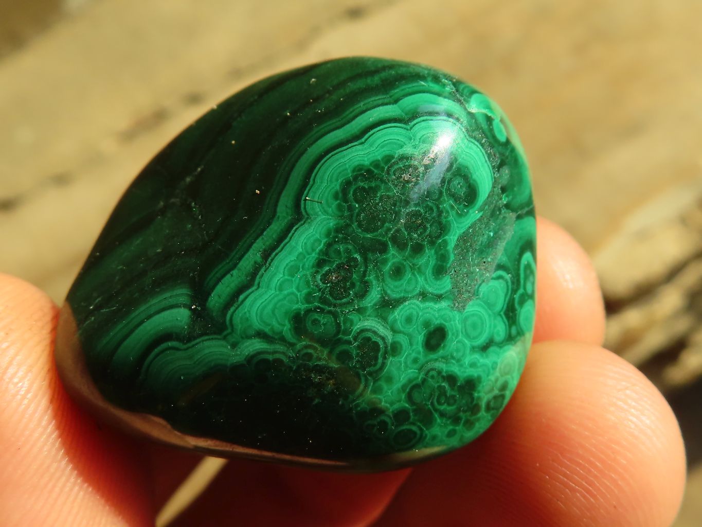 Polished  Small Flower Malachite Free Forms  x 20 From Congo - Toprock Gemstones and Minerals 