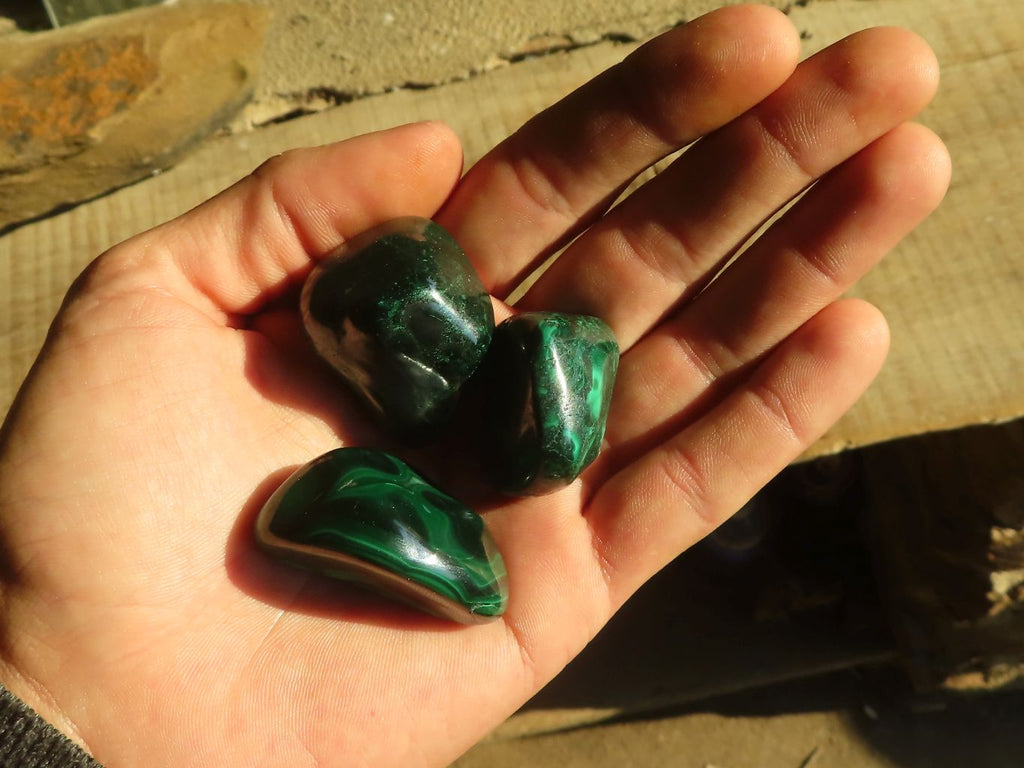 Polished  Small Flower Malachite Free Forms  x 20 From Congo - Toprock Gemstones and Minerals 