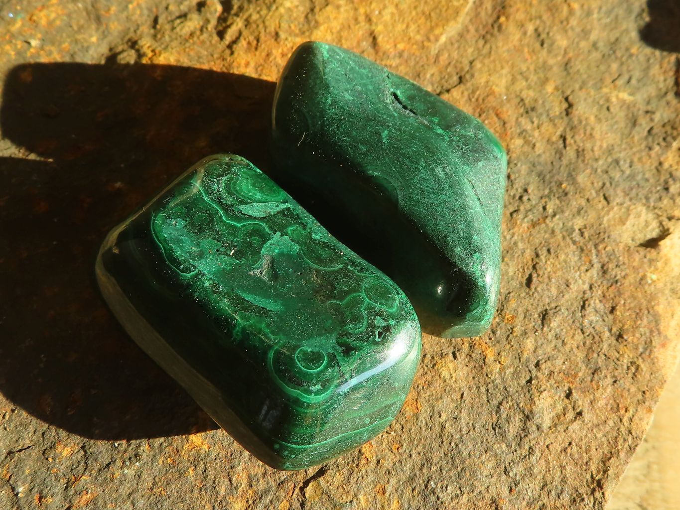 Polished  Small Flower Malachite Free Forms  x 20 From Congo - Toprock Gemstones and Minerals 