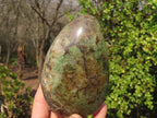 Polished Chrysoprase Standing Free Forms  x 2 From Madagascar - Toprock Gemstones and Minerals 