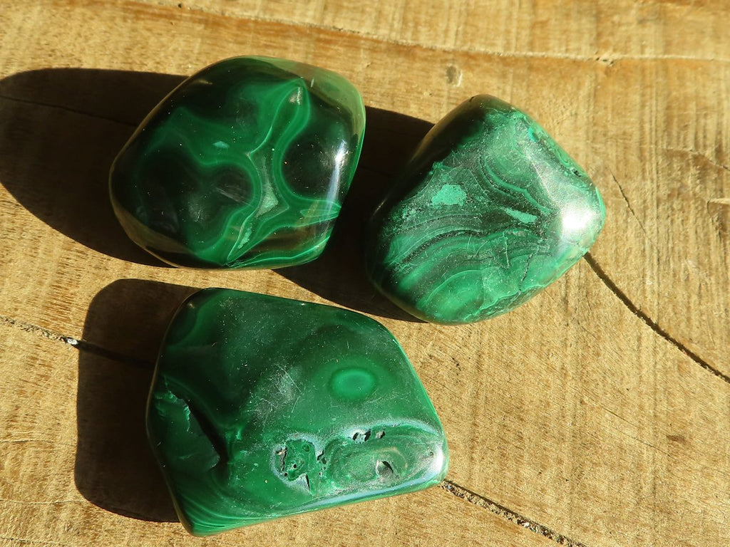 Polished  Small Flower Malachite Free Forms  x 20 From Congo - Toprock Gemstones and Minerals 