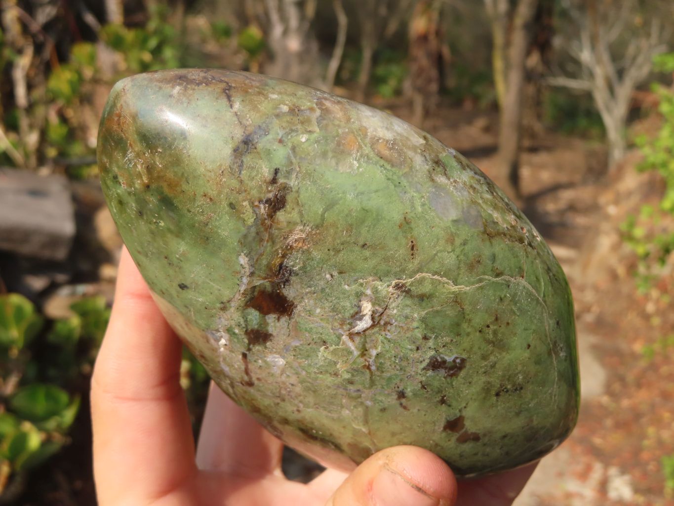 Polished Chrysoprase Standing Free Forms  x 2 From Madagascar - Toprock Gemstones and Minerals 