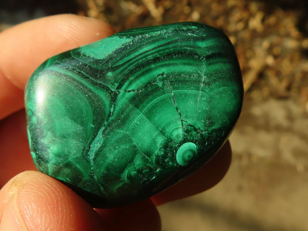 Polished  Small Flower Malachite Free Forms  x 20 From Congo - Toprock Gemstones and Minerals 