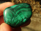 Polished  Small Flower Malachite Free Forms  x 20 From Congo - Toprock Gemstones and Minerals 