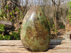 Polished Chrysoprase Standing Free Forms  x 2 From Madagascar - Toprock Gemstones and Minerals 