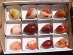 Polished Carnelian Agate Gemstone Eggs x 12 From Madagascar - TopRock