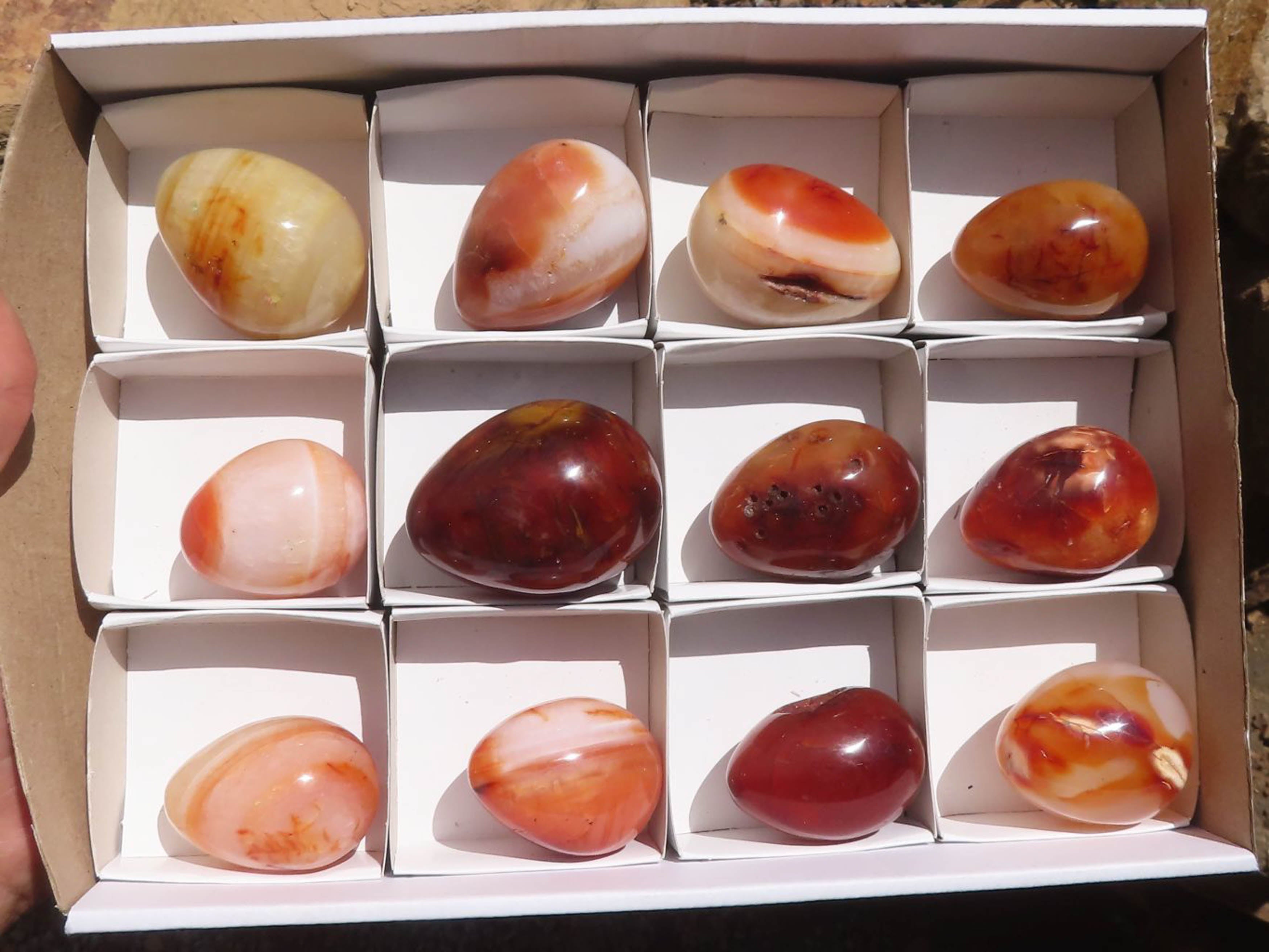 Polished Carnelian Agate Gemstone Eggs x 12 From Madagascar - TopRock