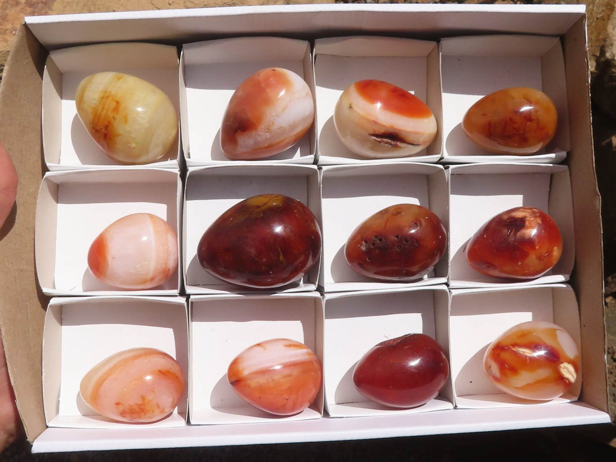 Polished Carnelian Agate Gemstone Eggs x 12 From Madagascar - TopRock