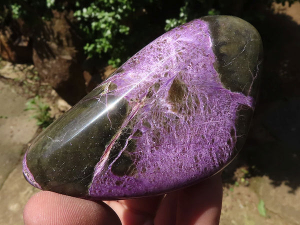 Polished Purple Stichtite & Serpentine Standing Free Forms  x 6 From Barberton, South Africa - TopRock