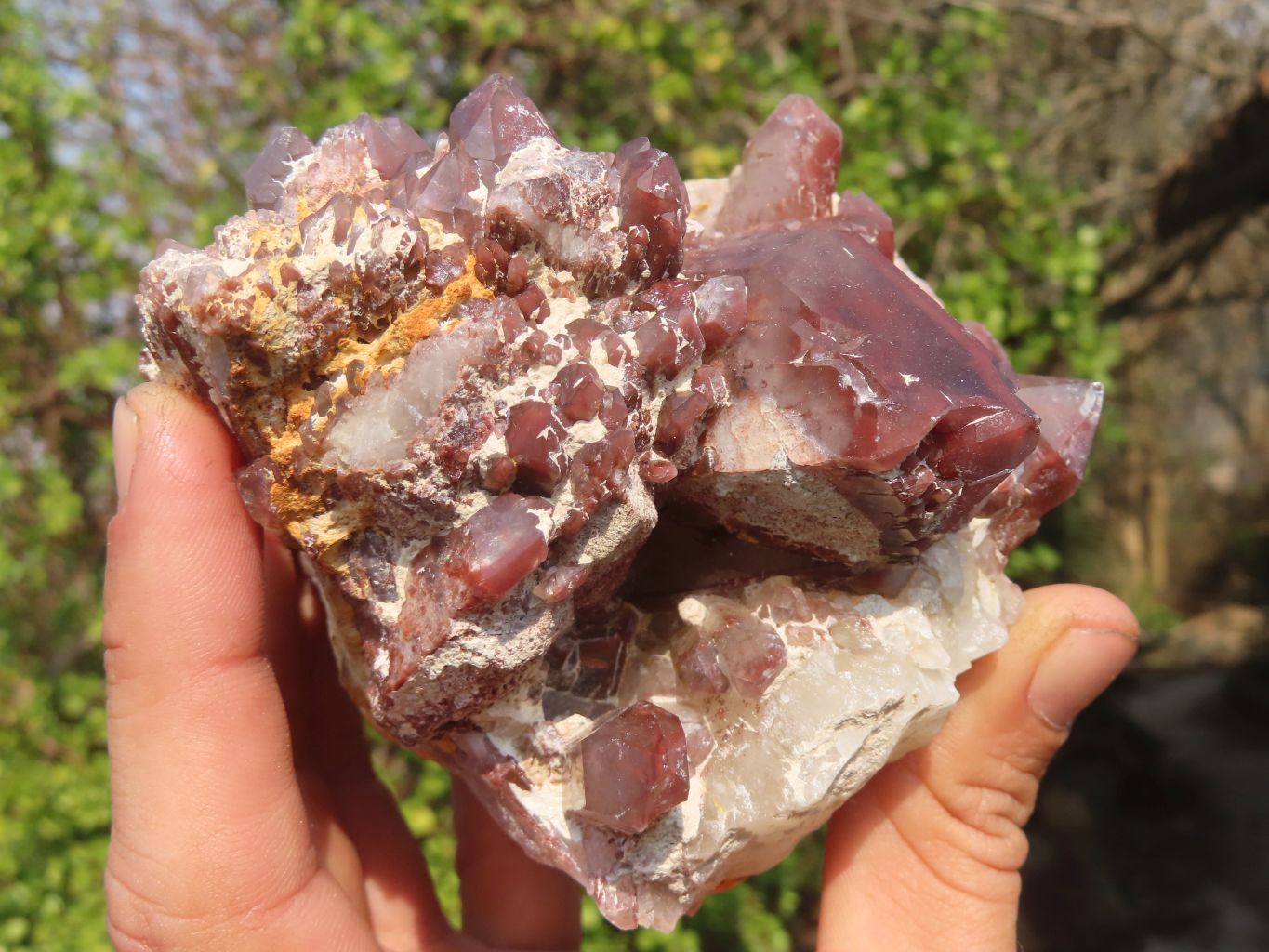 Natural Red Hematoid Quartz Specimens x 3 From Karoi, Zimbabwe - Toprock Gemstones and Minerals 