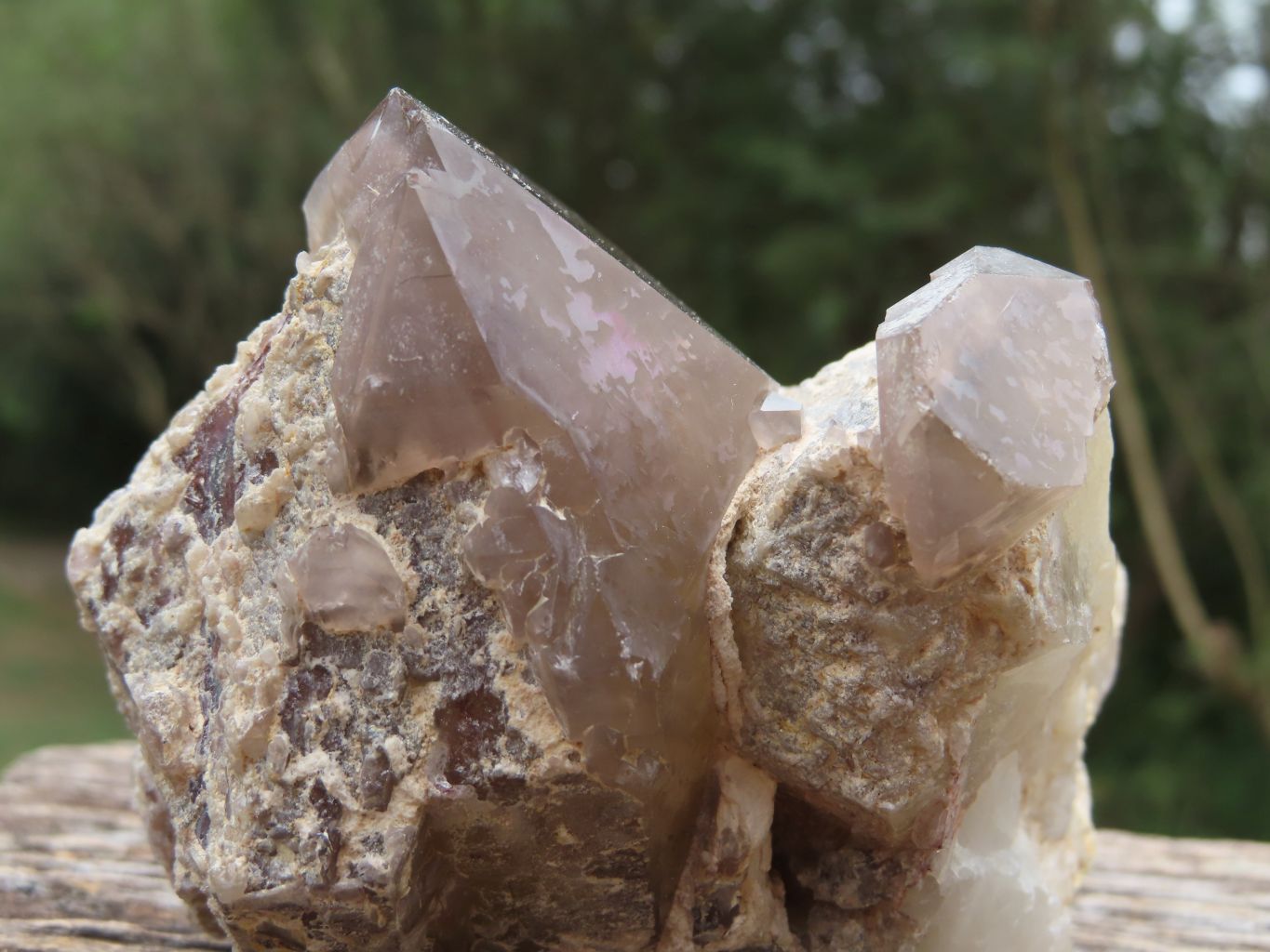 Natural Hematoid Quartz Clusters x 3 From Zimbabwe - TopRock