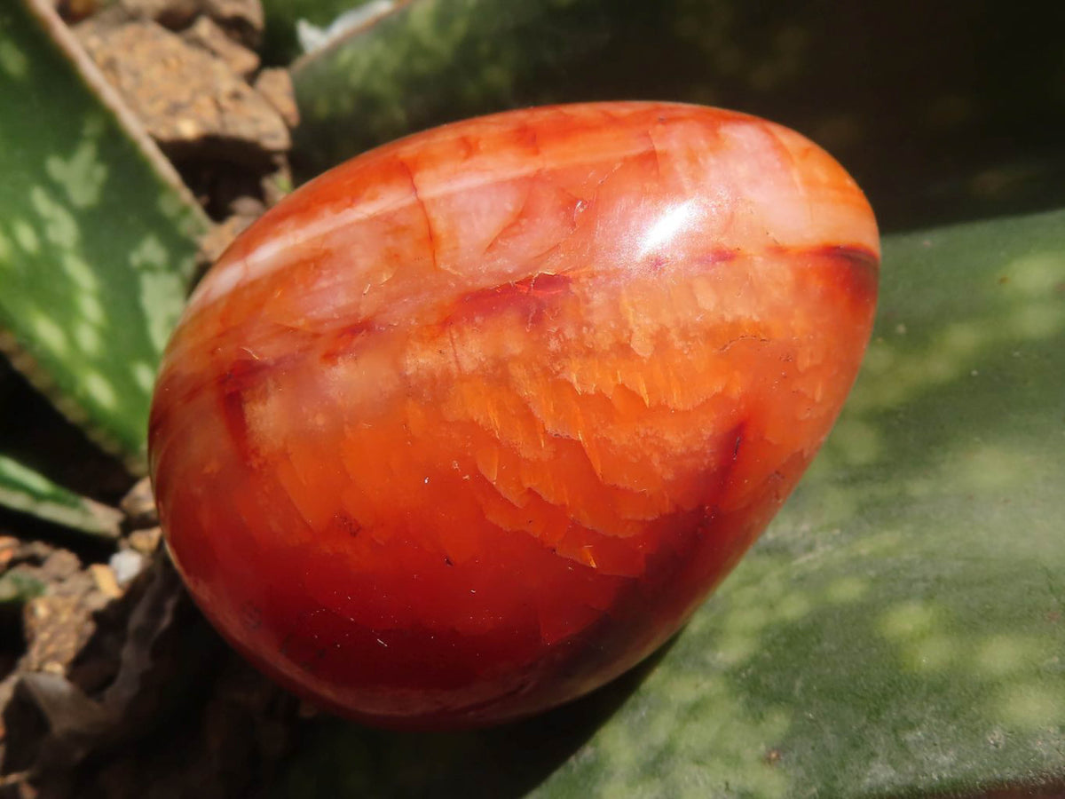 Polished Carnelian Agate Gemstone Eggs x 12 From Madagascar - TopRock