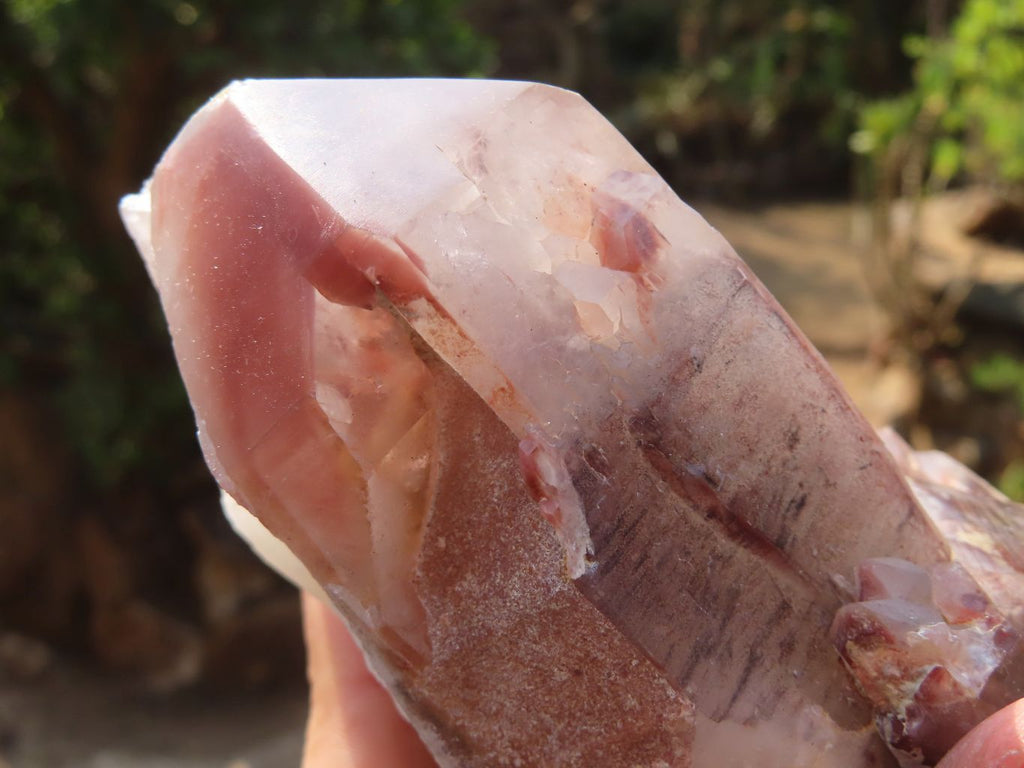 Natural Red Hematoid Quartz Specimens x 3 From Karoi, Zimbabwe - Toprock Gemstones and Minerals 