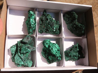 Natural Chatoyant Silky Malachite Specimens  x 6 From Kasompe, Congo - Toprock Gemstones and Minerals 