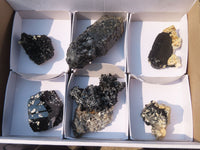 Natural Schorl Black Tourmaline Specimens x 6 From Erongo, Namibia - Toprock Gemstones and Minerals 
