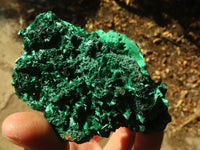 Natural Chatoyant Silky Malachite Specimens  x 6 From Kasompe, Congo - Toprock Gemstones and Minerals 