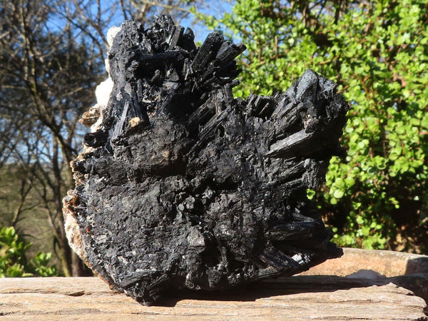 Natural Extra Large Schorl Black Tourmaline Specimen With Hyalite Opal  x 1 From Southern Africa - Toprock Gemstones and Minerals 